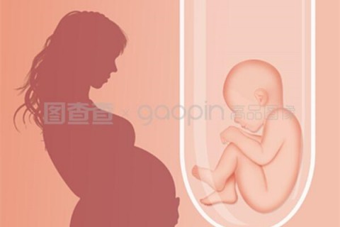 运动让深圳捐卵宝宝长得更高