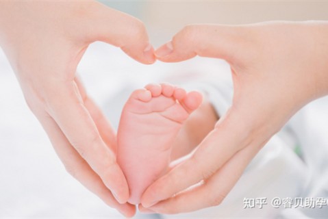 http://shenzhen.51dzb.net/post/188.html|深圳新闻中心